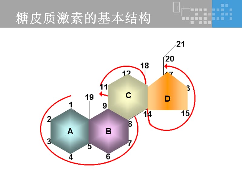 氟轻松是如何发挥其药理作用的？
